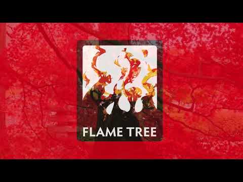 Introducing Flame Tree Gift | Notebooks