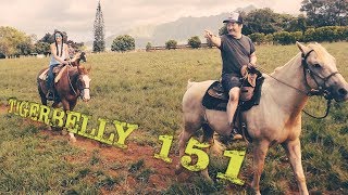 A Horse Named Sizzler | TigerBelly 151