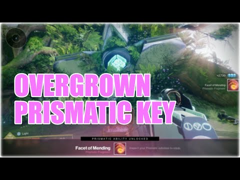 How to get the Overgrown Prismatic Key