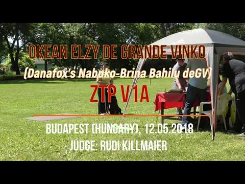 OKEAN ELZY DE GRANDE VINKO ZTP V1A 12-05-2018