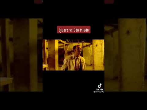 Ojuara vs cão miúdo