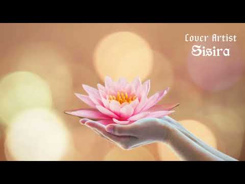 Bodu Gee  - Samindu Pamula