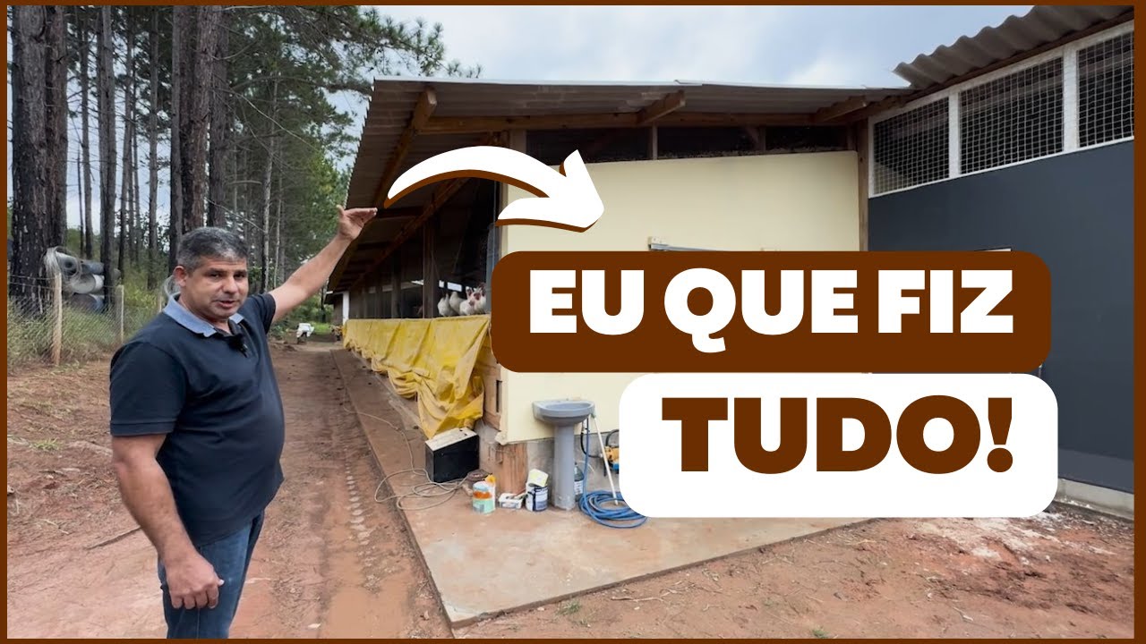 DO ZERO ao NEGÓCIO LUCRATIVO com produção de OVOS CAIPIRA: o caso da granja CAPUAVA