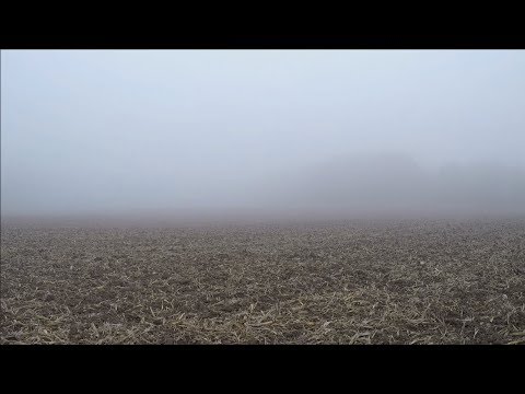 Sondeln im Nebel des Grauens ! Mit dem Metalldetektor auf Schatzsuche