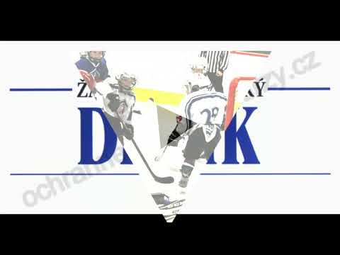 Hokej. HC Slovan Louny ročník  2011 Foto Lounskêho deníku 10.3. Turnaj v Lounech