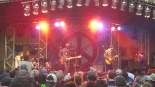 The New Mastersounds "Coming Up Roses" Live @ Bear Creek Music Festival 11-12-2011