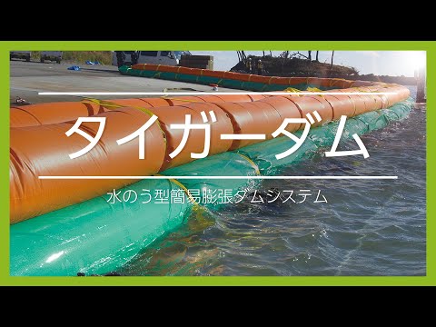 タイガーダム