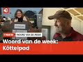 Het Twentse woord van de week: Köttelpad
