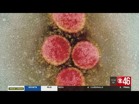 Commonly used gout medication maybe a new weapon in the fight against COVID-19, UGA researchers say