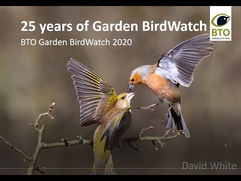25 Years of BTO Garden BirdWatch