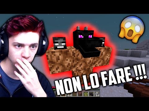 HO SCOPERTO UN BOSS SEGRETO SU MINECRAFT 1.14 !?!?