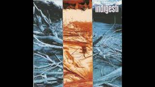 Music video thumbnail preview for Indigesti   In disparte   Confine by Indigesti