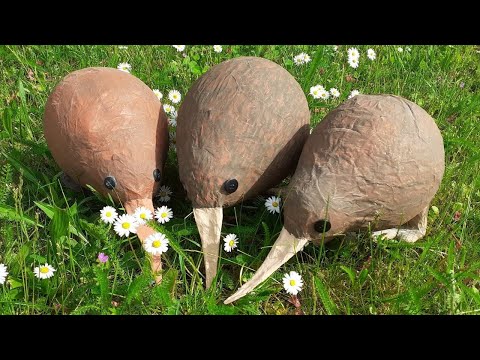 Bastelanleitung Kiwi aus Pappmaschee - Inspiriert von dem Kinderbuch 'Hey du! Wo ist dein Schnabel?'