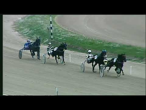 Napoli Trotto 04/11/2022 - prova di qualifica