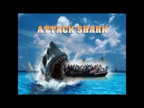 shark 4k video attack Sharks : Scavengers of the Seas
