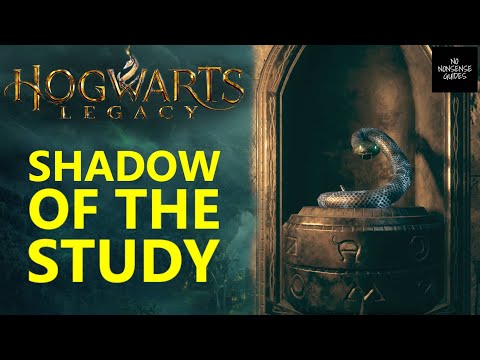 Hogwarts Legacy In the Shadow of Study - Slytherin Lock Snake Doors - Find A Way Through