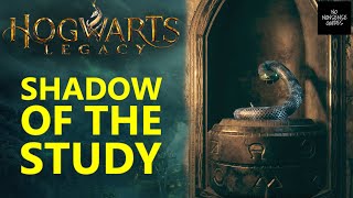 Hogwarts Legacy In the Shadow of Study - Slytherin Lock Snake Doors - Find A Way Through