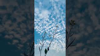 #beautiful sky #short #youtubeshorts #shorts #whatsappstatus #newstatus #blue sky #song #reels