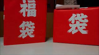 【謹賀新年】今年も福袋あけていくぜぇー!!【今年の干支は猪】