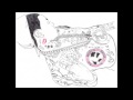 Roscoe Dash & Soulja Boy - All The Way TurnT Up ...