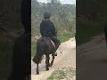 Nignonne OC Tr&egrave;s gentille et bien &eacute;duqu&eacute;e 