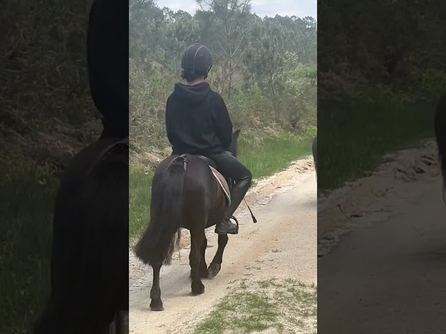 Nignonne OC Tr&egrave;s gentille et bien &eacute;duqu&eacute;e 