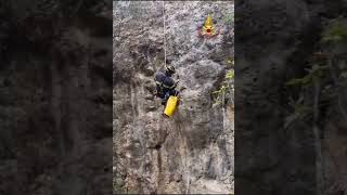 dispersi-per-ore-due-cani-segugio-salvati-dai-vigili-del-fuoco