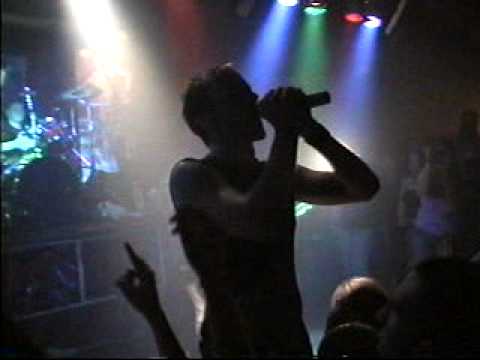 Darwin's Waiting Room - Into the Dark