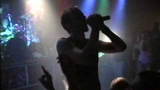 Darwin&#39;s Waiting Room - Into the Dark