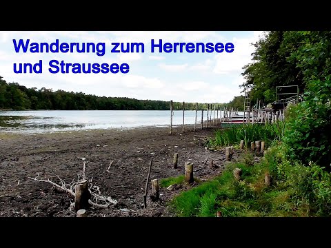 Mit dem 9-Euro-Ticket nach Strausberg | Wanderung zum Herrensee und Straussee