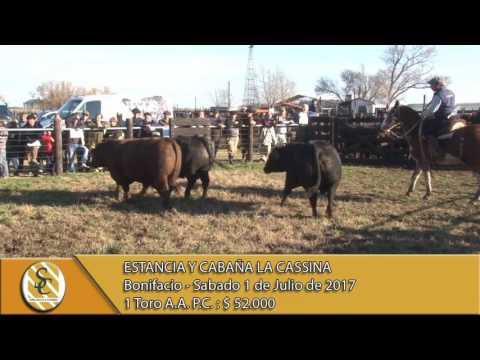 01-07-17 Ventas de Toros P.C. - Estancia y Cabaña La Cassina - Bonifacio.
