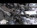 Медовый слепень - "AKR, спасибо за рыбу!" 
