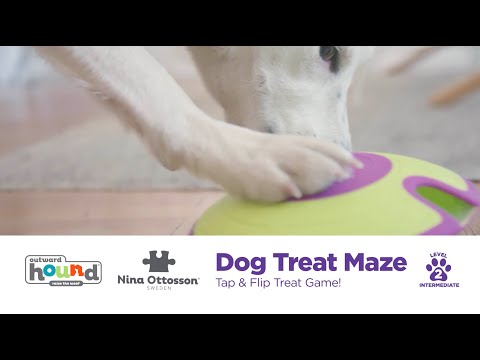 Outward Hound Dog Treat Maze – Hiking Dog Co.