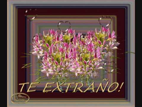 joshua te extrano.wmv