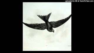 Bibio + Ex Confusion - Swift