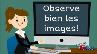 Cycle de vie de la grenouille, capsule pour le 3e cycle du primaire