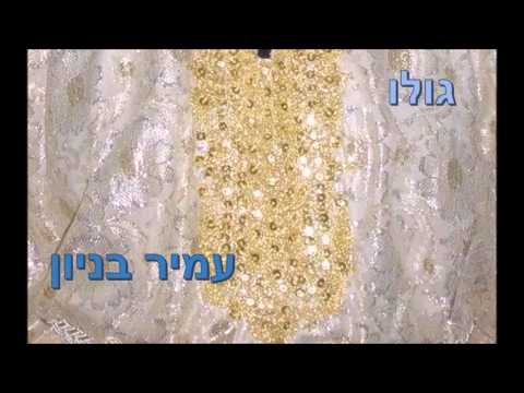עמיר בניון