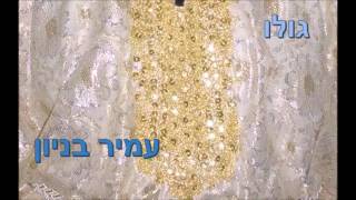 עמיר בניון