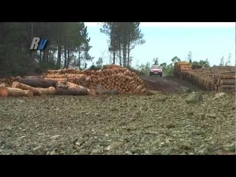 2011 İstanbul Ralli Kupası 3. Ayak / Yigit Timur - Emre Gülkan / Fiat Palio