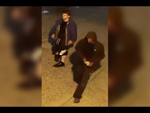Theft From Auto 14xx 67th St DC 19 35 076931