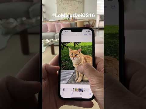 Cómo separar el sujeto del fondo en tus fotos en el iPhone