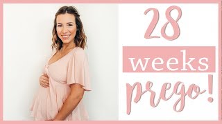 DEALING WITH BODY IMAGE | 28 Week Pregnancy Update! | Hayley Paige