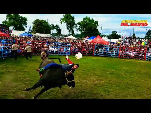 🚫SALIÓ LESIONADO🚫TERNERA DE LA CRUZ VS EXPRESO SALVAJE DE LOS DESTRUCTORES EN NEWBURGTH N.Y. 2019