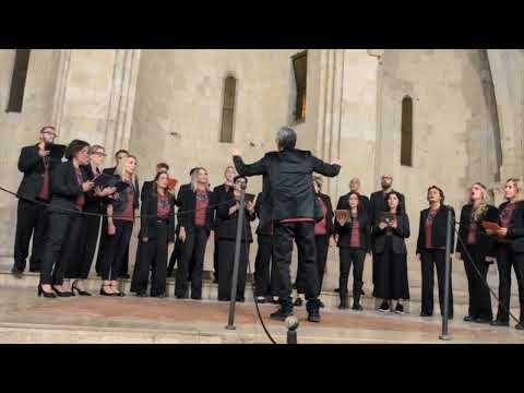 Notevolmente - Sei bellissima (a cappella)