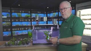 Zó richt u uw aquarium GOED in 🐠 | Heems TV - Vlog #1