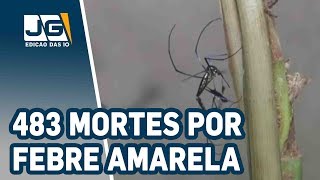 Miniatura do vídeo