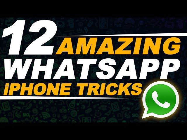 Master whatsapp game How To