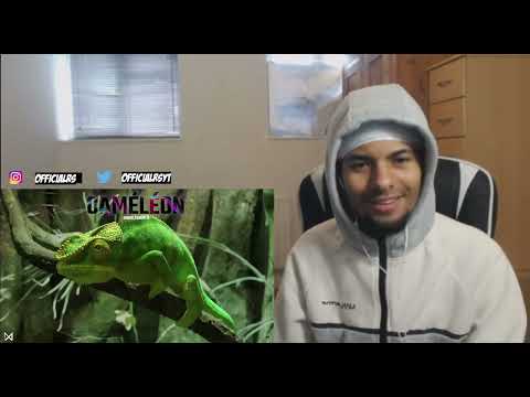 WAVEY!🌊💪🏽🇩🇿*UK REACTION* Didine Canon 16 - FREESTYLE CAMELEON