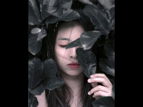 Trả cho tôi - Diệu Hiền