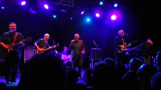 Graham Parker & The Rumour. Wall of Grace.  Bristol 2015